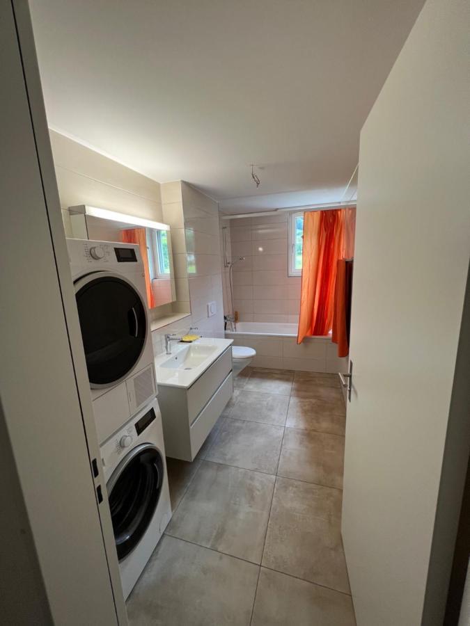 Great New Apartment Surrounded By Nature. Schattdorf المظهر الخارجي الصورة