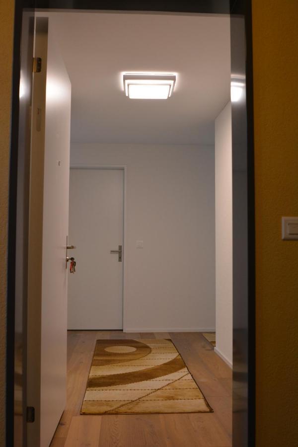 Great New Apartment Surrounded By Nature. Schattdorf المظهر الخارجي الصورة